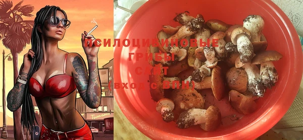 дживик Баксан